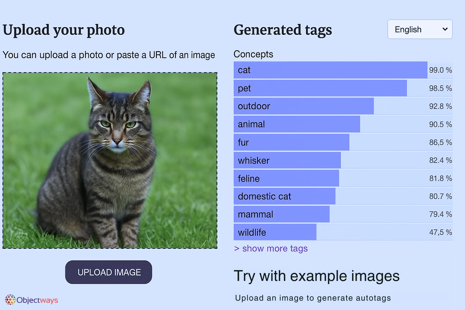 An example of generating autotags for an image.