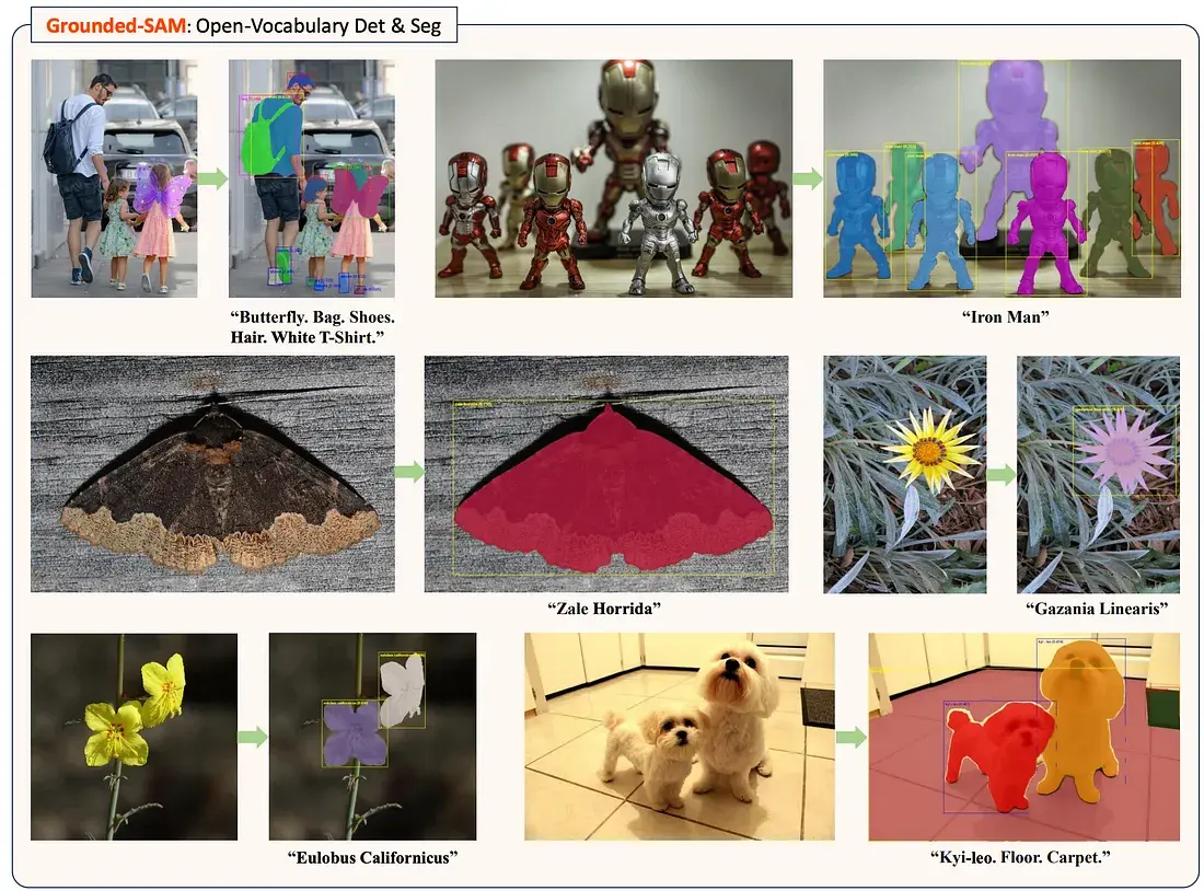 Using Grounding SAM to outline objects
