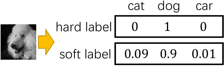 AI model focusing on irrelevant background features